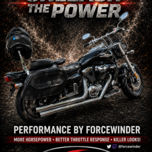 Suzuki Maurader with ForceWinder Intake Chrome